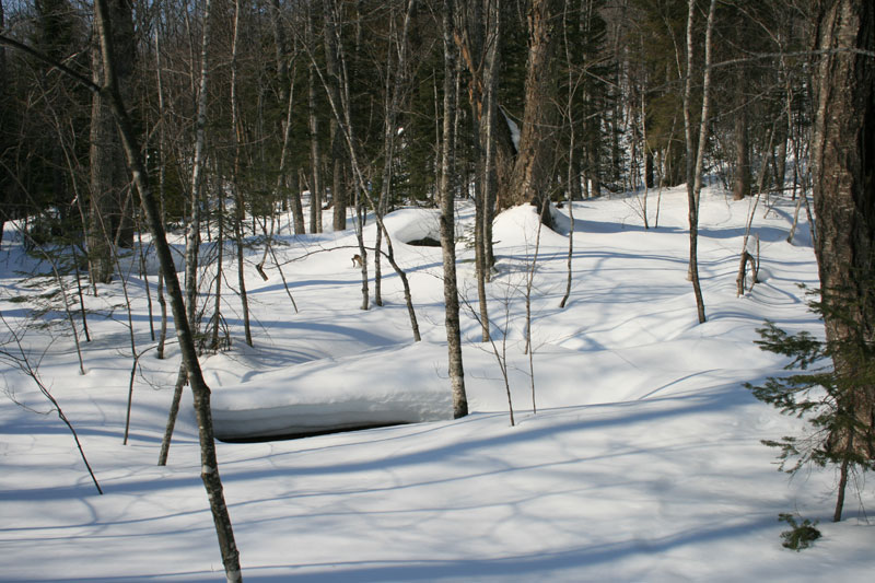 Untouched snow, river underneath