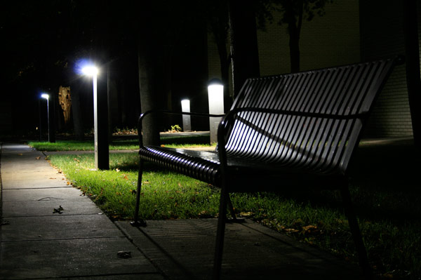 Lonely Bench
