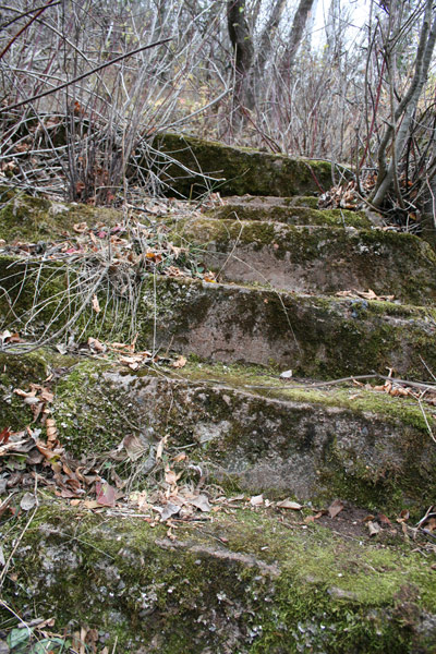 Mossy Stairs – Courtney Celley