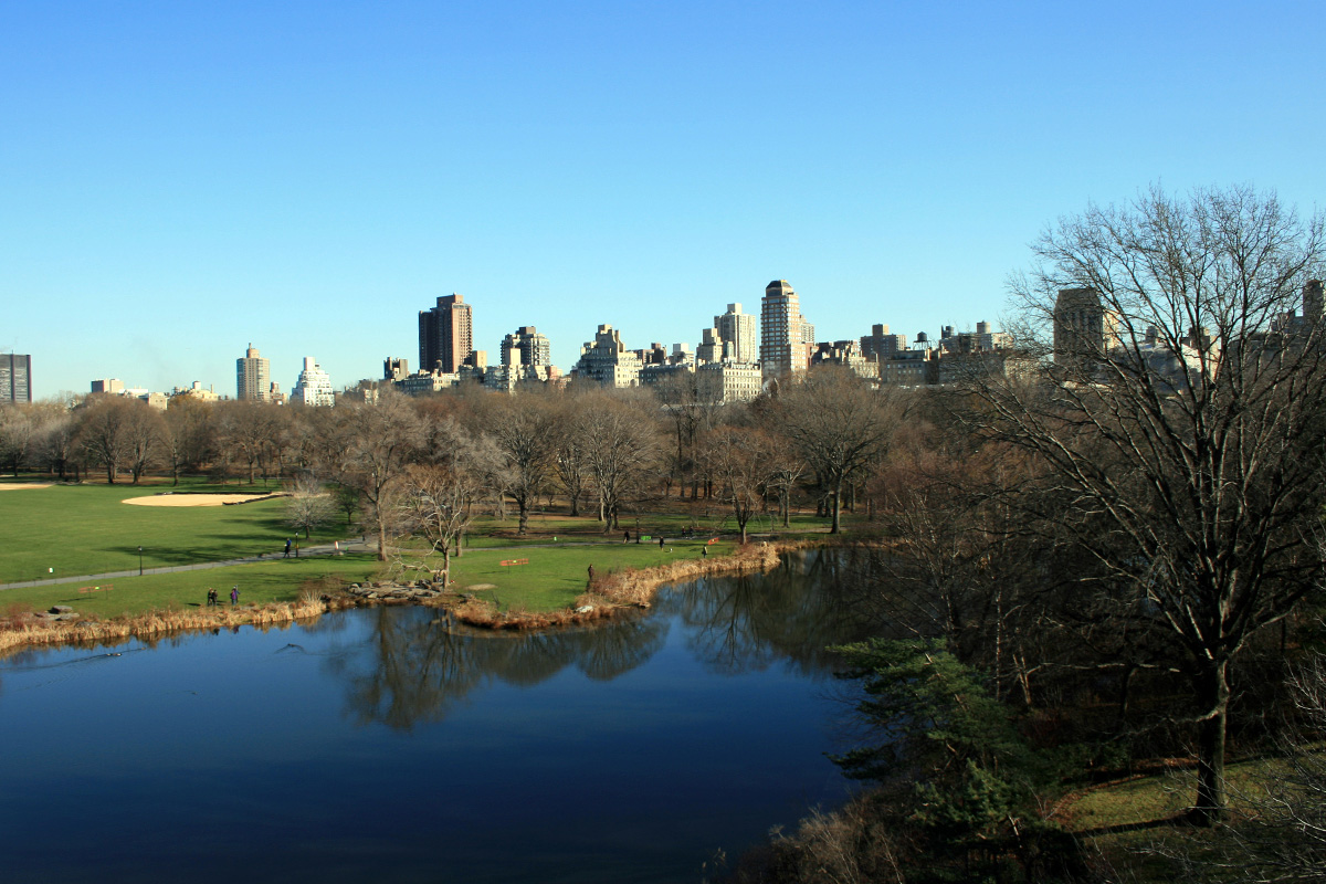 Central Park - Courtney Celley